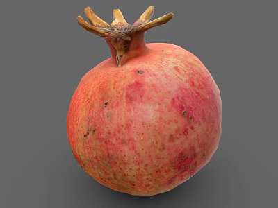 Fresh Ripe Pomegranate with Red Pink Speckled Skin and Crown on Gray Background 3d model