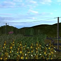 Swing Door in Sunflower Field with Green Hills Trees and Blue Sky White Clouds