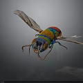 Detailed Vibrant Rainbow Colored Insect With Transparent Wings On Dark Background