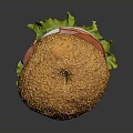 Appetizing Hamburger With Golden Toasted Sesame Seed Bun Fresh Lettuce And Ripe Tomato Slices