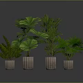 Different Types of Green Potted Plants In Cylindrical Pots Against Gray Background