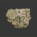 Natural Marine Sponge Animal With Green And White Tags On Porous Surface