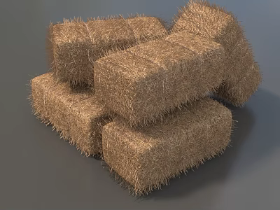 Natural Hay Bales From Dried Grass Plants For Outdoor Garden Design 3d model