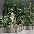 Modern Plants Plant Landscape 3d model