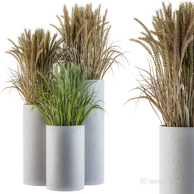 Modern Bonsai Potted Plants in White Cylindrical Pots with Green and Brown Foliage 3d model 