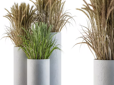 Modern Bonsai Potted Plants in White Cylindrical Pots with Green and Brown Foliage 3d model