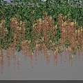 Lush Green Hanging Vines with Cascading Leaves Decorating Wall Surface 3d model