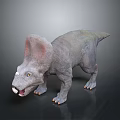 Baby Dinosaur with Large Frill Small Horns Open Mouth Gray Skin on Dark Reflective Surface