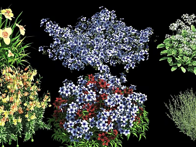 Colorful Flowering Shrubs With Blue Red Yellow Blooms And Green Foliage 3d model