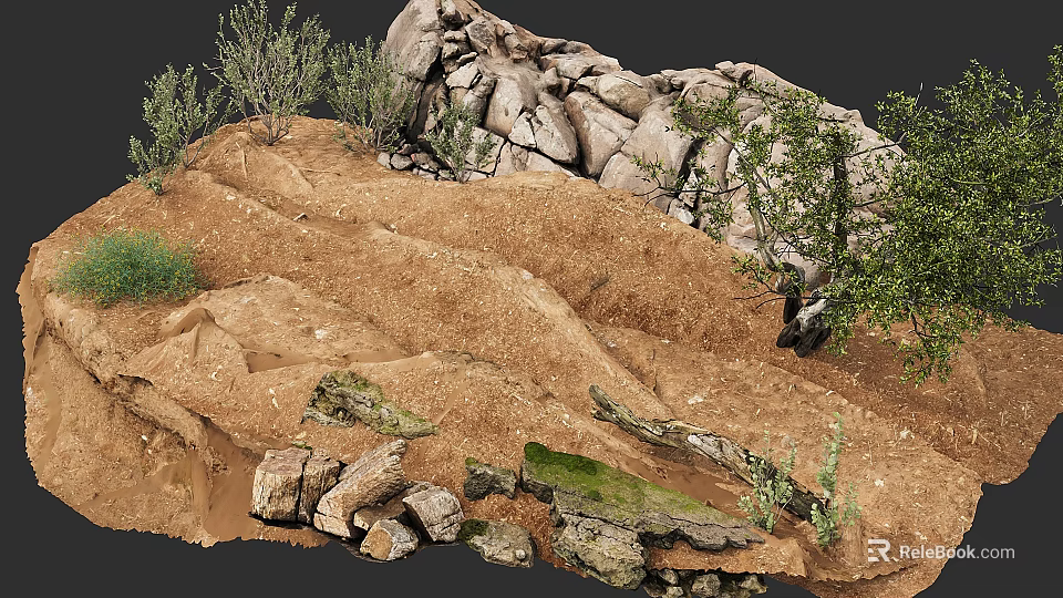 Natural Terrain With Rocks Sandy Ground Low Shrubs And Moss Covered Stones 3d model 