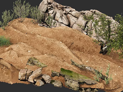 Natural Terrain With Rocks Sandy Ground Low Shrubs And Moss Covered Stones 3d model