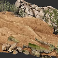 Natural Terrain With Rocks Sandy Ground Low Shrubs And Moss Covered Stones