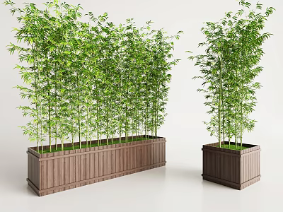 Tall Lush Green Bamboo Plants Growing in Rectangular Wooden Planters for Decoration 3d model