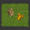 Two Frogs Of Different Colors Brown And Yellow Sitting On Green Grass