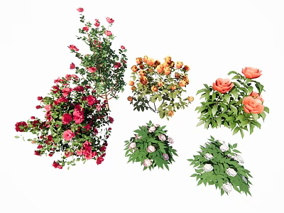 Beautiful Assorted Garden Flowers Featuring Red Orange White Blooms And Green Foliage 3d model