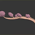 Detailed Biological Tissue System Featuring Branching Structures And Pink Cellular Clusters