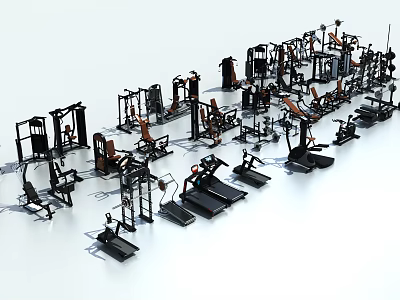 Diverse Commercial Gym Fitness Equipment Collection With Strength And Cardio Machines 3d model