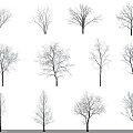 Various Snow Covered Trees With Different Branch Shapes On Gray Background