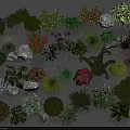 Various Garden Flowers And Green Plants With Decorative Stones And Foliage