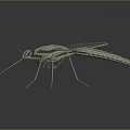 Artist Created Shiny Metallic Mechanical Mosquito 3D Model With Transparent Wings And Thin Legs