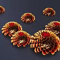 Layered Vibrant Orange Red Yellow Flowers with Ruffled Petals on Dark Blue Background