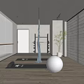Modern Fitness Studio With Mirror Walls Yoga Mat Exercise Ball And Green Plants