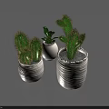 Indoor Bonsai Cactus Potted Plants in White Ceramic Pots for Home Decor