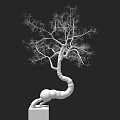 Modern Artistic Silver Tree Like Sculpture With Curved Trunk And Metallic Spherical Base