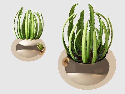 Bonsai Potted Plants with Green Long Leaves in Light Colored Round Pots for Indoor Decor 3d model