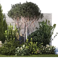 Garden Ornament Landscaping With Various Green Plants Trees Stones And Decorative Foliage