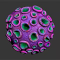 Vibrant Purple And Green Coral Hemispherical Shape With Textured Pores On Black Background