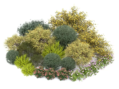 Various Types of Shrubs with Green Yellow Foliage and Pink White Flowers 3d model