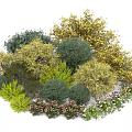 Various Types of Shrubs with Green Yellow Foliage and Pink White Flowers