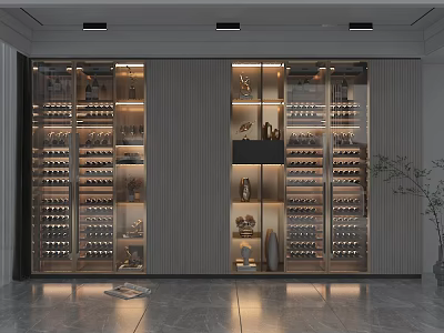 Modern Wine Cabinet Interior Design With Glass Doors And Wine Bottles 3d model