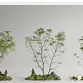 Indoor Natural Landscape Decor With Miniature Trees Stone And Moss Arrangement