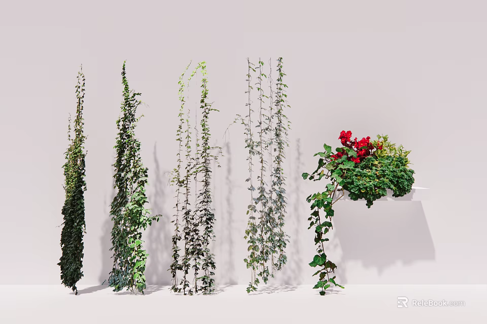 Various Green Leafy Vines with Red Flowers and Different Climbing Growth Patterns 3d model
