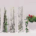 Various Green Leafy Vines with Red Flowers and Different Climbing Growth Patterns 3d model