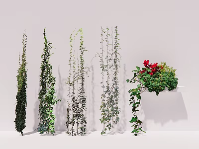 Various Green Leafy Vines with Red Flowers and Different Climbing Growth Patterns 3d model
