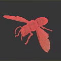 Realistic 3D Rendered Hornet With Red And Yellow Body And Transparent Wings On Dark Background