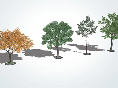 Different Types of Arbor Trees with Orange Green Foliage Pine Needles and Shadows on White Background 3d model