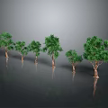 Green Trees of Different Sizes with Brown Trunks on Gray Reflective Ground
