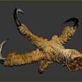 Close Up View Of Yellow Chicken Foot With Textured Skin And Sharp Claws