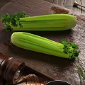 Modern Celery 3d model