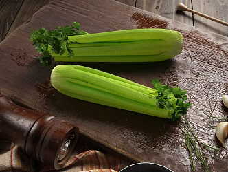 Modern Celery 3d model
