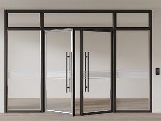 double-door glass door 3d model