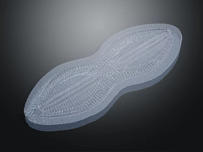 Gray Peanut Shaped Gray Object With Textured Surface And Smooth Curved Design Features 3d model