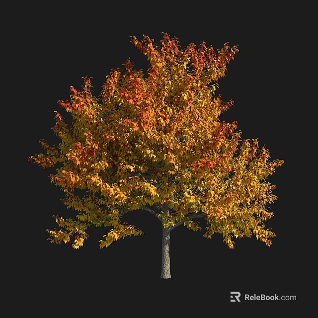 Tall Arbor With Vibrant Red And Yellow Autumn Leaves Creating Lush Canopy 3d model 