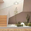 Indoor Staircase Space With Wooden Steps White Railings And Cacti Plants