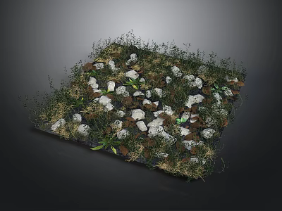 Natural Rustic Groundscape Design With White Stones Green Grass And Plants 3d model