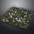 Natural Rustic Groundscape Design With White Stones Green Grass And Plants